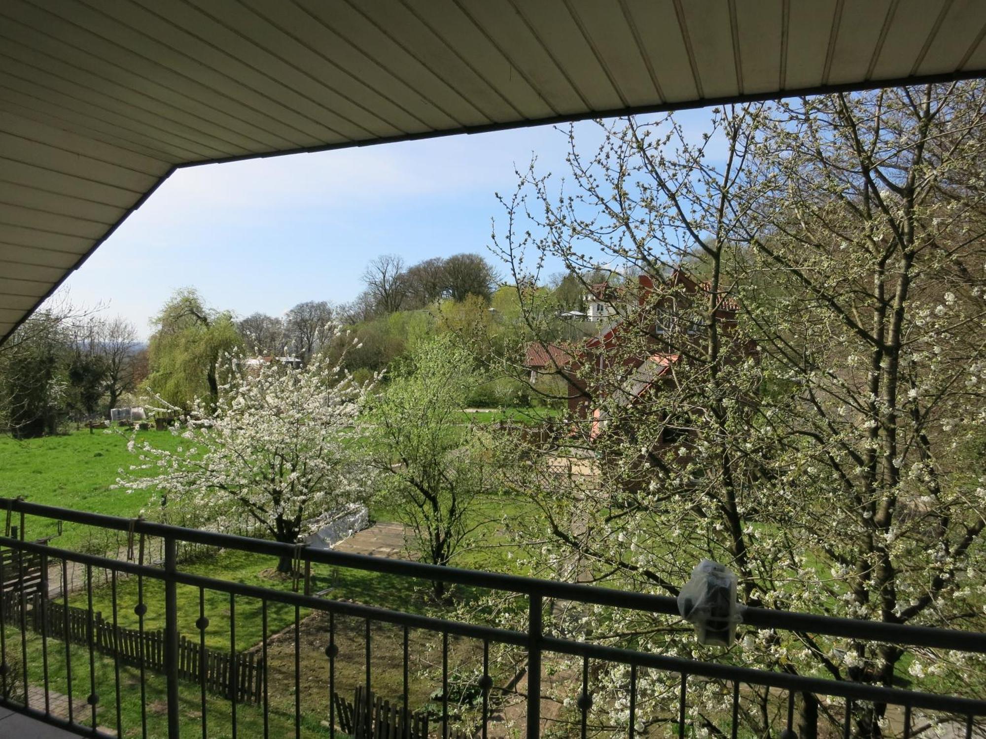 Ferienwohnung Am Teutohang Tecklenburg Kültér fotó